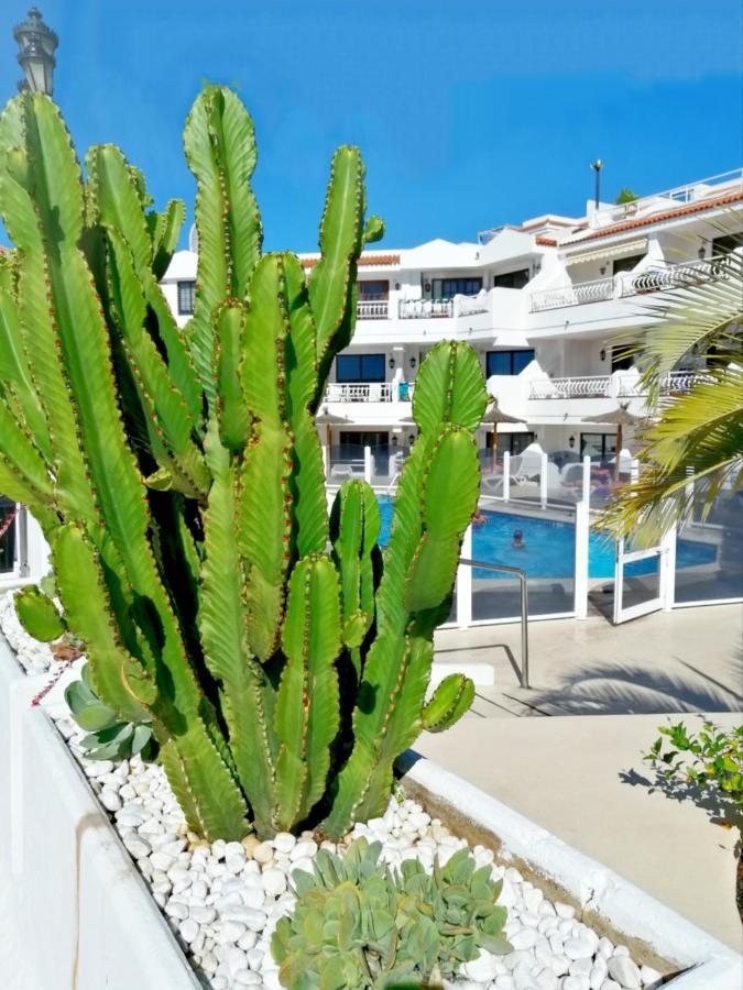 Aguamarina Apartment - Los Diamantes 2 ลอส กริสเตียนอส ภายนอก รูปภาพ